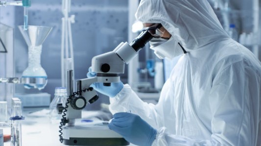 Publicación en Pesquisa Investigación